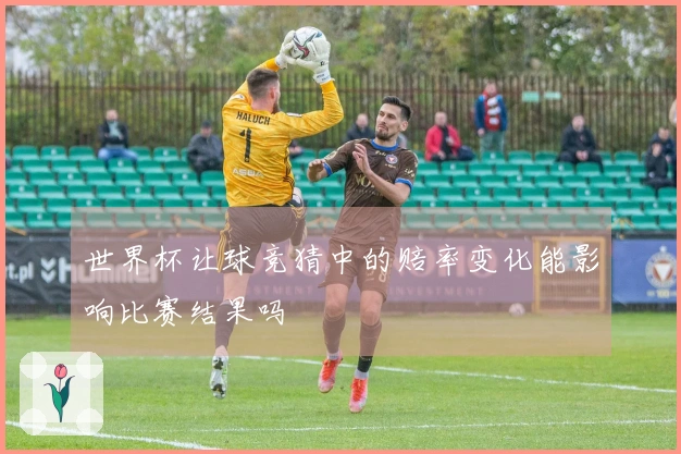 世界杯让球竞猜中的赔率变化能影响比赛结果吗