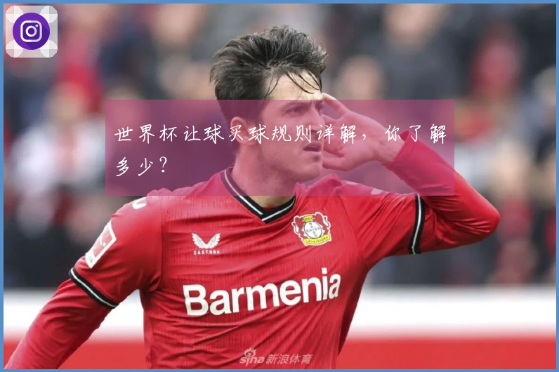 世界杯让球买球规则详解，你了解多少？
