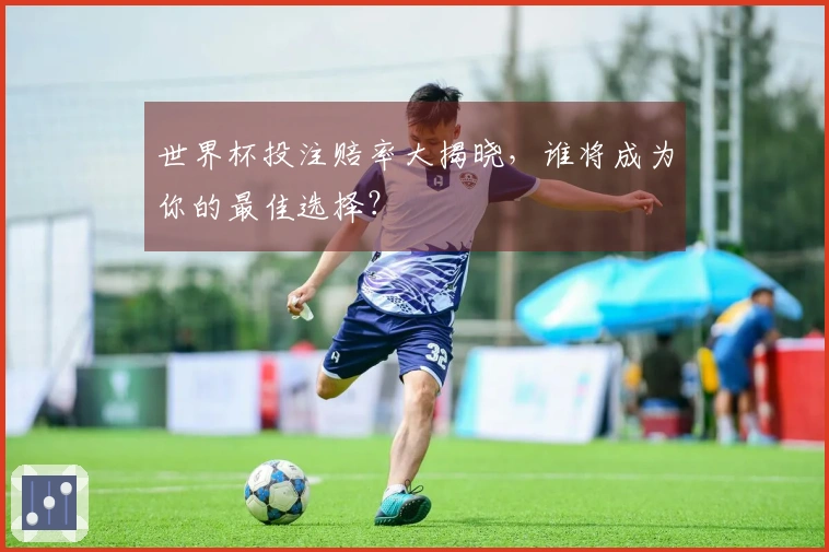 世界杯投注赔率大揭晓，谁将成为你的最佳选择？