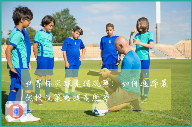 世界杯买球竞猜观察：如何选择最优投注策略提高胜率