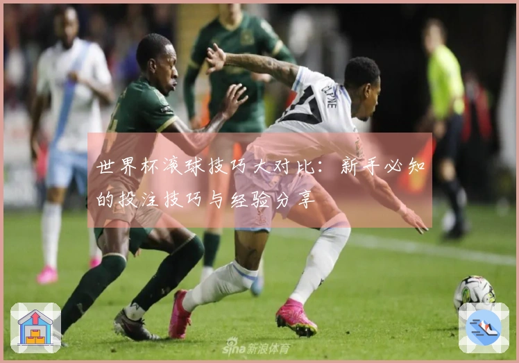 世界杯滚球技巧大对比：新手必知的投注技巧与经验分享