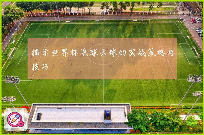 揭示世界杯滚球买球的实战策略与技巧